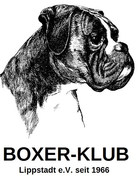boxerklub-lippstadt.de
